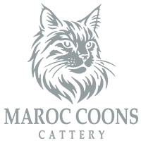 Blue Sapphire & Smoke MC Cattery LLC Logo